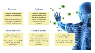 basic immunology abbas chapter 2 cram