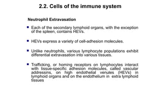Summary of Hematopoietic
stem cell
Source: Kuby immunology 2007, 5th
ed
 