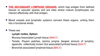 TERTIARY LYMPHOID TISSUES:
• They are tissues which normally contain fewer lymphoid cells than
secondary lymphoid organs
•...