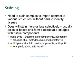 Chapter 2 bio 300 obe | PPT