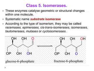Chapter 2 Biocatalysts and Non-biological Catalysts.pptx