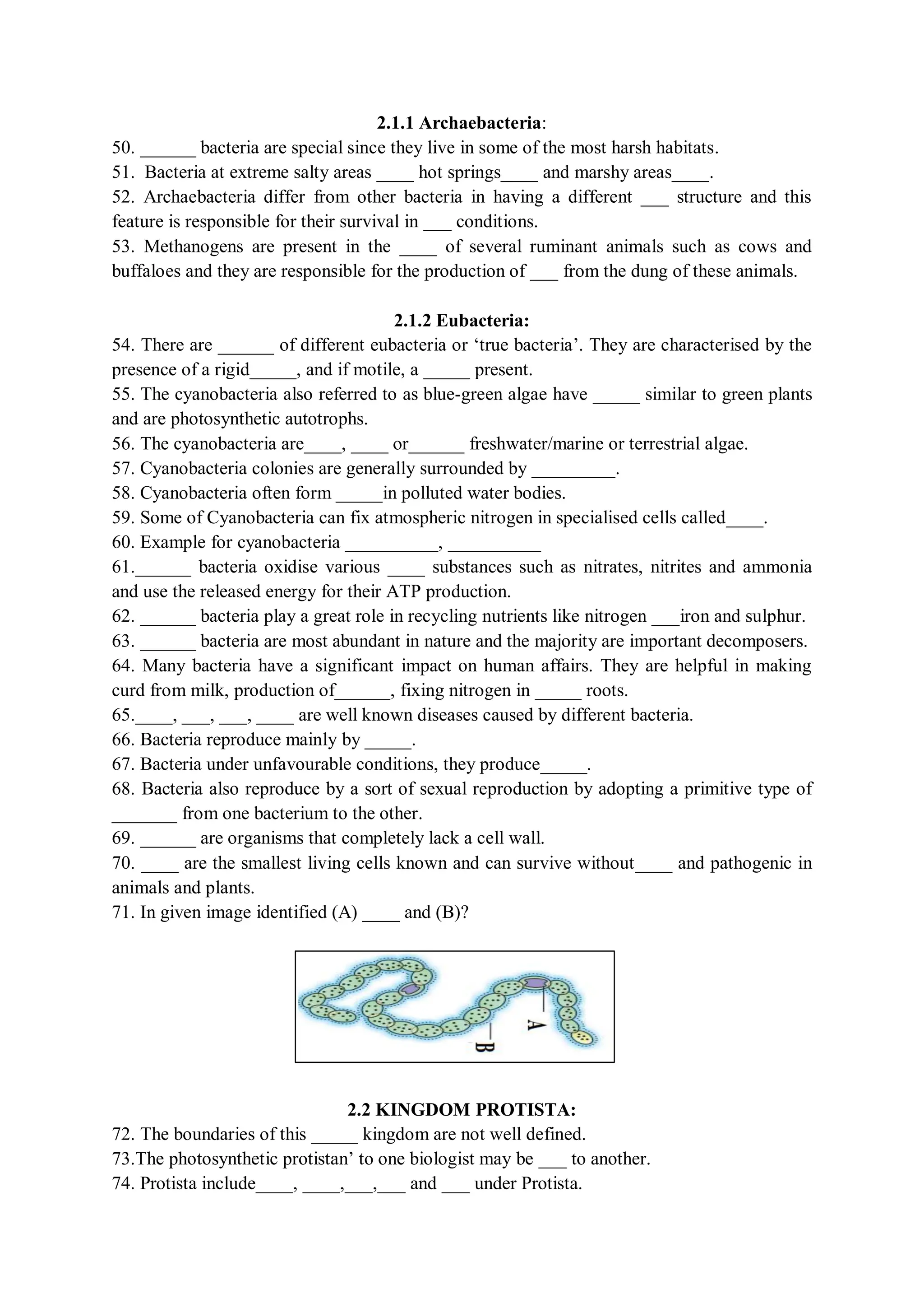 Biological classification Monera Protista fungi plantae and Animalia | PDF