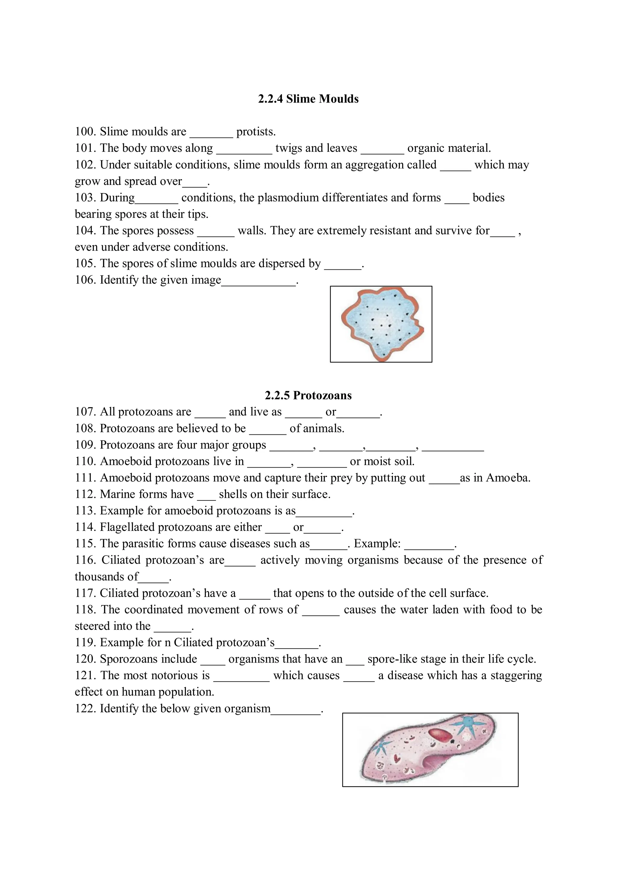 Biological classification Monera Protista fungi plantae and Animalia | PDF