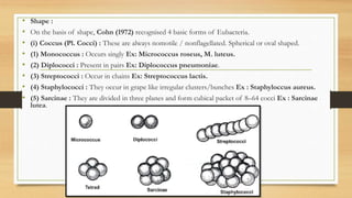 • Shape :
• On the basis of shape, Cohn (1972) recognised 4 basic forms of Eubacteria.
• (i) Coccus (Pl. Cocci) : These are always nomotile / nonflagellated. Spherical or oval shaped.
• (1) Monococcus : Occurs singly Ex: Micrococcus roseus, M. luteus.
• (2) Diplococci : Present in pairs Ex: Diplococcus pneumoniae.
• (3) Streptococci : Occur in chains Ex: Streptococcus lactis.
• (4) Staphylococci : They occur in grape like irregular clusters/bunches Ex : Staphyloccus aureus.
• (5) Sarcinae : They are divided in three planes and form cubical packet of 8–64 cocci Ex : Sarcinae
lutea.
 
