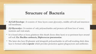Structure of Bacteria
• A) Cell Envelope : It consists of three layers–outer glycocalyx, middle cell wall and innermost
cell membrane.
• (1) Glycocalyx : It consists of only polysaccharides and protects cell from loss of water,
nutrients and viral attack.
• It is found either as loose gelatinous thin sheath (loose slime layer) or as persistent layer around
cell wall. Ex: Bacillus anthracis, Diplococcus pneumoniae.
• The latter also have D-glutamic acid alongwith polysaccharides in cell wall resulting thick slime
layer is formed called capsule which provides protection against phagocytosis and antibiotics.
 