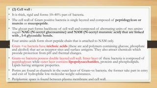 • (2) Cell wall :
• It is thick, rigid and forms 10–40% part of bacteria.
• The cell wall of Gram positive bacteria is single layered and composed of peptidogylcan or
murein or mucopeptide.
• The glycan part forms backbone of cell wall and composed of alternating units of two amino
sugars NAG (N-acetyl glucosamine) and NAM (N-acetyl muramic acid) that are linked
with , 1-4 glycosidic bonds.
• Four amino acids form short peptide chain that is attached to NAM only.
• Gram +ve bacteria have teichoic acids (these are acid polymers containing glucose, phosphate
and alcohol) that act as receptor sites and surface antigens. They also attract chemicals which
provide protection from pH and thermal changes.
• Gram–ve bacteria possess double layered cell wall. Inner layer of these bacteria is composed of
peptidoglycan while outer layer contains lipopolysaccharides, proteins and phospholipids.
Lipids having antigenic properties.
• Porins are found as channels in the outer layer of Gram–ve bacteria. the former take part in entry
and exit of hydrophilic low molecular weight substances.
• Periplasmic space is found between plasma membrane and cell wall.
 