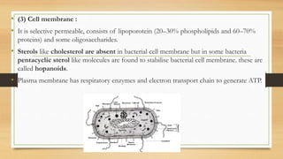 • (3) Cell membrane :
• It is selective permeable, consists of lipoporotein (20–30% phospholipids and 60–70%
proteins) and some oligosaccharides.
• Sterols like cholesterol are absent in bacterial cell membrane but in some bacteria
pentacyclic sterol like molecules are found to stabilise bacterial cell membrane. these are
called hopanoids.
• Plasma membrane has respiratory enzymes and electron transport chain to generate ATP.
 