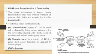 • (iii) Genetic Recombination / Parasexuality :
• True sexual repoduction is absent. Genetic
recombination takes place without formation of
gametes, their fusion and meiosis that is called
parasexuality.
• The former occurs by three methods.
• (1) Transformation:-A piece of DNA of donor
cell is obtained by living mature recipient cell in
the surrounding medium after death/ decay of
the donor cell without involving any vector.
• (2) Transduction:-It is a transfer of DNA /
genes from donor bacterium to recipient by
bacteriophages.
• (3) Conjugation
 