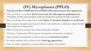 (IV) Mycoplasma (PPLO)
• Nocard and Roux (1898) discovered PPLO (Pleuropneumonia like organisms).
• They are Gram–ve, smallest (0.1–0.3 m in size–Ex: Mycoplasma gallisepticum),
unicellular, aerobic, heterotrophic, walls less prokayotes and pleomorpic organisms.
• They can change their shape hence called jokers of the plant kingdom or mollicutes.
• They can pass through bacteria proof filters. Cell membrane is trilaminar, highly flexible
and composed of lipoprotein.
• DNA is linear note circular, but coiled and double stranded.
• 70 S type of ribosomes, RNA, protein, fat particles are found in cytoplasm.
• They perform reproduction by binary fission and elementary bodies.
• In culture medium their colonies shows fried egg appearance.
• They are either saprophytic or cause diseases in plants and animals.
 