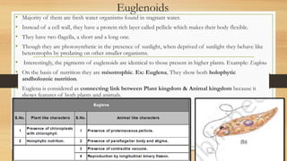 Euglenoids
• Majority of them are fresh water organisms found in stagnant water.
• Instead of a cell wall, they have a protein rich layer called pellicle which makes their body flexible.
• They have two flagella, a short and a long one.
• Though they are photosynthetic in the presence of sunlight, when deprived of sunlight they behave like
heterotrophs by predating on other smaller organisms.
• Interestingly, the pigments of euglenoids are identical to those present in higher plants. Example: Euglena
• On the basis of nutrition they are mixotrophic. Ex: Euglena, They show both holophytic
andholozoic nutrition.
• Euglena is considered as connecting link between Plant kingdom & Animal kingdom because it
shows features of both plants and animals.
 