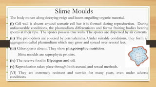 Slime Moulds
• The body moves along decaying twigs and leaves engulfing organic material.
• (i) Cell wall is absent around somatic cell but it is formed during reproduction. During
unfavourable conditions, the plasmodium differentiates and forms fruiting bodies bearing
spores at their tips. The spores possess true walls. The spores are dispersed by air currents.
• (ii) The protoplasts are covered by plasmalemma. Under suitable conditions, they form an
aggregation called plasmodium which may grow and spread over several feet.
• (iii) Chloroplasts absent. They show phagotrophic nutrition.
Slime moulds are saprophytic protists.
• (iv) The reserve food is Glycogen and oil.
• (v) Reproduction takes place through both asexual and sexual methods.
• (VI) They are extremely resistant and survive for many years, even under adverse
conditions.
 