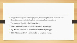 • Fungi are eukaryotic, achlorophyllous, heterotrophic, non vascular, non
flowering, gametophytic, haploid (n), multicellular organisms.
• The study of fungi is called Mycology.
• Pier Antonio micheli is called ‘Father of Mycology.’
• E.J. Butler is known as ‘Father of Inidan Mycology’.
• R.H. Whittaker (1969) established it as kingdom Fungi.
 