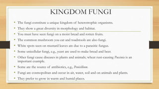 KINGDOM FUNGI
• The fungi constitute a unique kingdom of heterotrophic organisms.
• They show a great diversity in morphology and habitat.
• You must have seen fungi on a moist bread and rotten fruits.
• The common mushroom you eat and toadstools are also fungi.
• White spots seen on mustard leaves are due to a parasitic fungus.
• Some unicellular fungi, e.g., yeast are used to make bread and beer.
• Other fungi cause diseases in plants and animals; wheat rust-causing Puccinia is an
important example.
• Some are the source of antibiotics, e.g., Penicillium.
• Fungi are cosmopolitan and occur in air, water, soil and on animals and plants.
• They prefer to grow in warm and humid places.
 