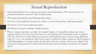 Sexual Reproduction
• Sexual reproduction is by oospores, ascospores and basidiospores. The various spores are
produced in distinct structures called fruiting bodies.
• The sexual cycle involves the following three steps:
• (i) Fusion of protoplasms between two motile or non-motile gametes called plasmogamy.
• (ii) Fusion of two nuclei called karyogamy.
• (iii) Meiosis in zygote resulting in haploid spores.
• When a fungus reproduces sexually, two haploid hyphae of compatible mating types come
together and fuse. In some fungi the fusion of two haploid cells immediately results in diploid
cells (2n). However, in other fungi (ascomycetes and basidiomycetes), an intervening dikaryotic
stage (n + n, i.e., two nuclei per cell) occurs; such a condition is called a dikaryon and the phase is
called dikaryophase of fungus. Later, the parental nuclei fuse and the cells become diploid. The
fungi form fruiting bodies in which reduction division occurs, leading to formation of haploid
spores.
 