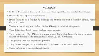 Viroids
• In 1971, T.O. Diener discovered a new infectious agent that was smaller than viruses.
• It caused potato spindle tuber disease.
• It was found to be a free RNA; it lacked the protein coat that is found in viruses, hence
the name viroid.
• Viroids are small single-stranded circular RNA agents which infect plants.
• They differ from RNA viruses in three major aspects:
• Their minute size. The RNA of the viroid was of low molecular weight (they are non-
quarter of the size of the smallest RNA virus, i.e., 250-400 bases);
• The genome does not encode any proteins
• They are not encapsidated( it lacked the protein coat that is found in viruses).
• Viroid infections is mediated mechanically.
 