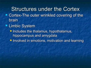 Chapter 2 biological perspective notes | PPT