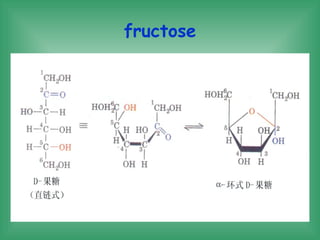 Fructose Definition Chapter2 Biology Molecules | PPT