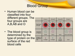 Blood Group
• Human blood can be
classified into four
different groups. The
four groups are
A,B,AB and O
• The blood group is
determined by the
type of protein on the
surface of the red
blood cells

 
