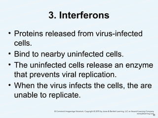 3. Interferons
• Proteins released from virus-infected
cells.
• Bind to nearby uninfected cells.
• The uninfected cells release an enzyme
that prevents viral replication.
• When the virus infects the cells, the are
unable to replicate.
11
 