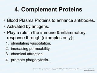 4. Complement Proteins
• Blood Plasma Proteins to enhance antibodies.
• Activated by antigens.
• Play a role in the immune & inflammatory
response through (examples only):
1. stimulating vasodilation,
2. increasing permeability,
3. chemical attraction,
4. promote phagocytosis.
13
 