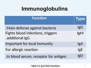 Immunoglobulins
Function Type
Main defense against bacteria
. IgG
Fights blood infections, triggers
additional IgG
.
IgM
Important for local immunity IgA
For allergic reaction IgE
In blood serum, receptor for antigen
. IgD
Table 2-2: Ig & Their Functions
15
 