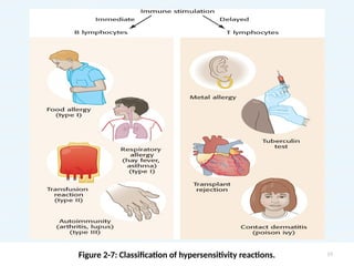 Figure 2-7: Classification of hypersensitivity reactions. 19
 
