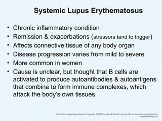 Systemic Lupus Erythematosus
• Chronic inflammatory condition
• Remission & exacerbations (stressors tend to trigger)
• Affects connective tissue of any body organ
• Disease progression varies from mild to severe
• More common in women
• Cause is unclear, but thought that B cells are
activated to produce autoantibodies & autoantigens
that combine to form immune complexes, which
attack the body’s own tissues.
30
 