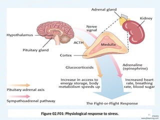 Figure 02.F01: Physiological response to stress. 46
 