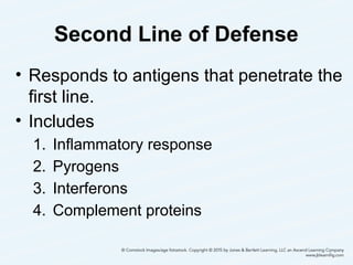 Second Line of Defense
• Responds to antigens that penetrate the
first line.
• Includes
1. Inflammatory response
2. Pyrogens
3. Interferons
4. Complement proteins
6
 