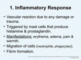 1. Inflammatory Response
• Vascular reaction due to any damage or
trauma.
• Triggered by mast cells that produce
histamine & prostaglandin.
• Manifestations: erythema, edema, pain &
warmth.
• Migration of cells (neutrophils, phagocytes).
• Fibrin formation.
7
 
