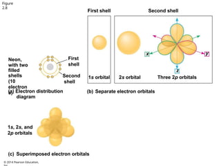 chapter 2_the chemical context of life.pptx