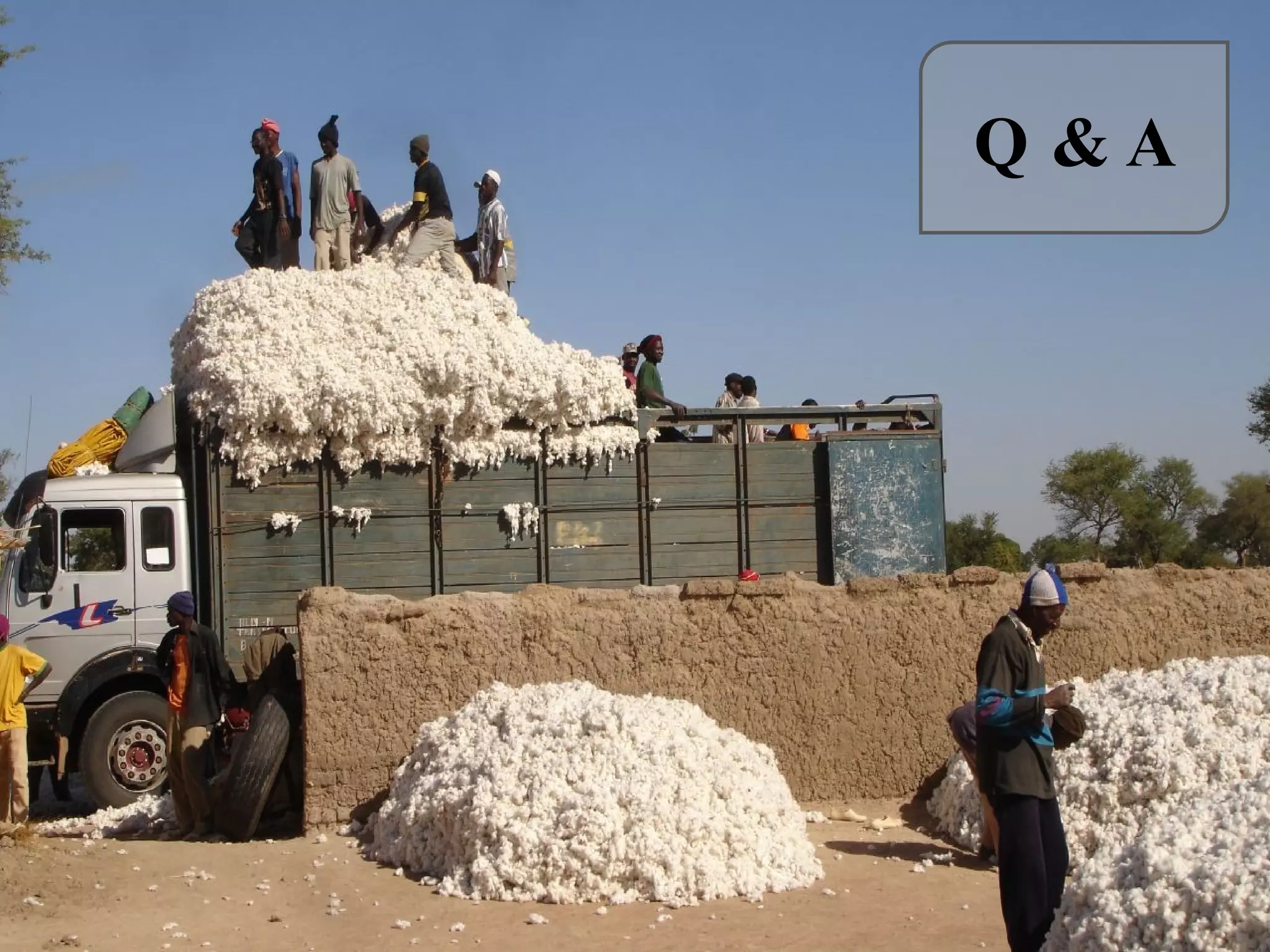 Textile Trauma | PPT