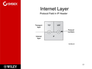 Internet Layer Protocol Field in IP Header 