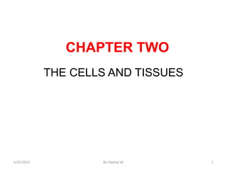 CHAPTER TWO
THE CELLS AND TISSUES
5/25/2023 By Yibeltal W. 1
 