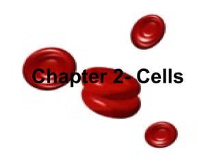 1 11
Chapter 2: Cells
Chapter 2- Cells
 