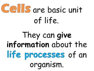 Chapter 2 : Cell Structure and Functions | PDF