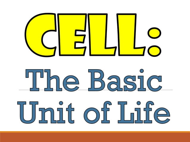 Chapter 2 : Cell Structure and Functions