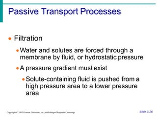 Passive Processes Chapter 2 Cellular Structure & Physiology.pdf