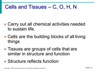 Chapter 2 Cellular Structure & Physiology.pdf
