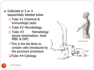 Chapter_2_Cerebrospinal_Fluid. in detail explanation | PDF