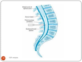 Chapter_2_Cerebrospinal_Fluid. in detail explanation | PDF
