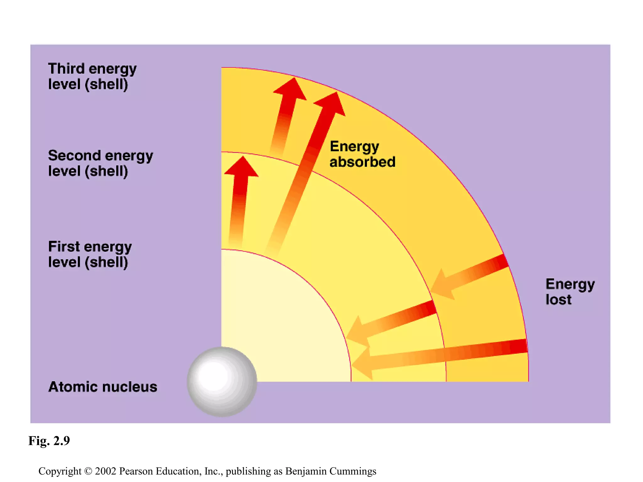 Copyright © 2002 Pearson Education, Inc., publishing as Benjamin Cummings
Fig. 2.9
 