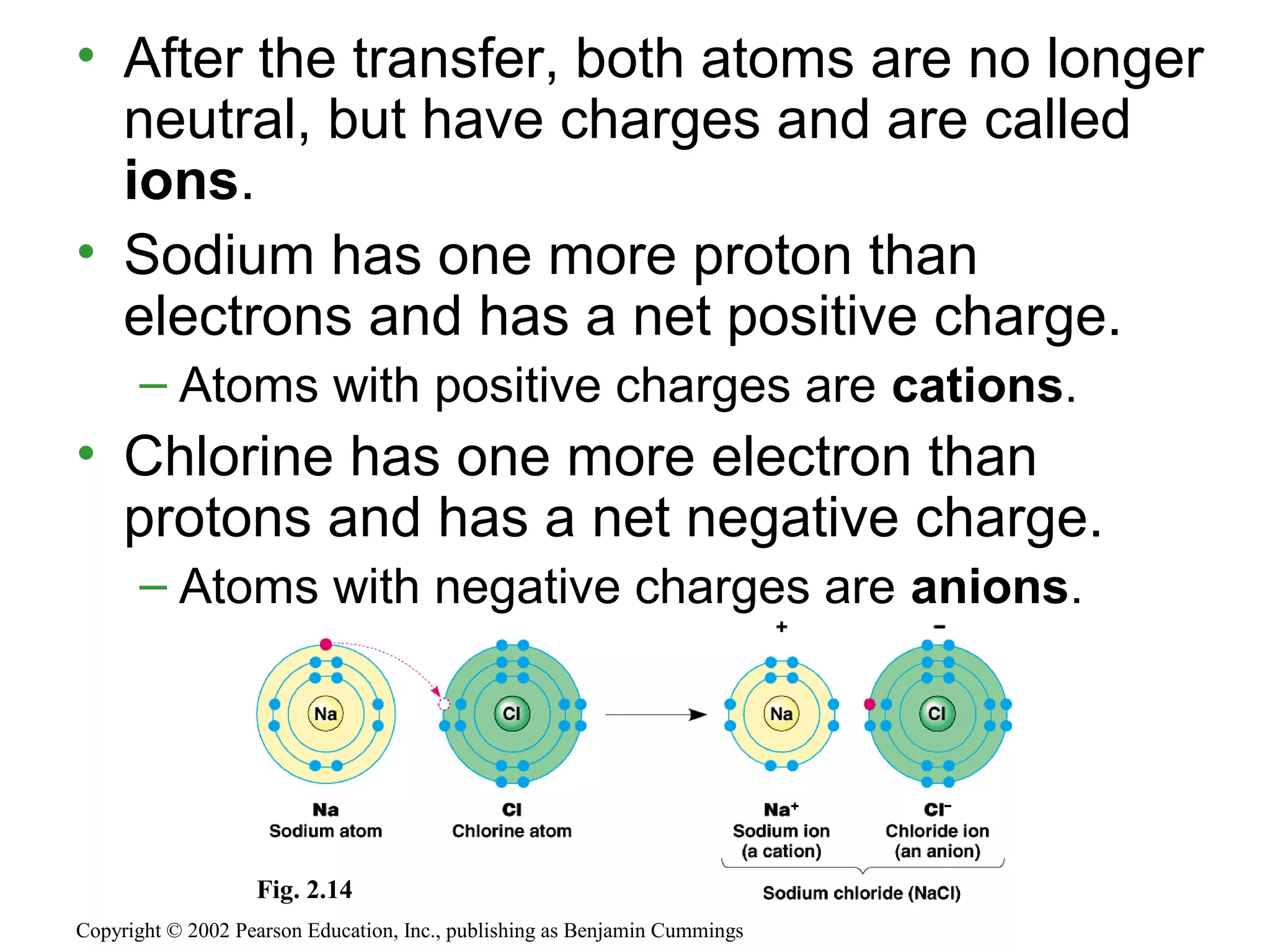 • After the transfer, both atoms are no longer
neutral, but have charges and are called
ions.
• Sodium has one more proton than
electrons and has a net positive charge.
– Atoms with positive charges are cations.
• Chlorine has one more electron than
protons and has a net negative charge.
– Atoms with negative charges are anions.
Copyright © 2002 Pearson Education, Inc., publishing as Benjamin Cummings
Fig. 2.14
 
