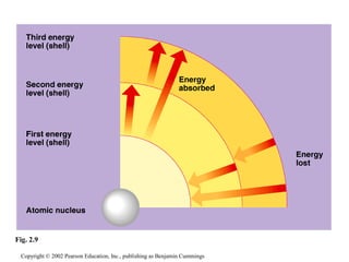 Copyright © 2002 Pearson Education, Inc., publishing as Benjamin Cummings
Fig. 2.9
 