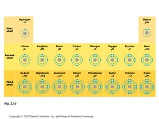 Copyright © 2002 Pearson Education, Inc., publishing as Benjamin Cummings
Fig. 2.10
 
