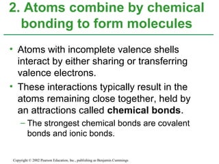 • Atoms with incomplete valence shells
interact by either sharing or transferring
valence electrons.
• These interactions typically result in the
atoms remaining close together, held by
an attractions called chemical bonds.
– The strongest chemical bonds are covalent
bonds and ionic bonds.
2. Atoms combine by chemical
bonding to form molecules
Copyright © 2002 Pearson Education, Inc., publishing as Benjamin Cummings
 