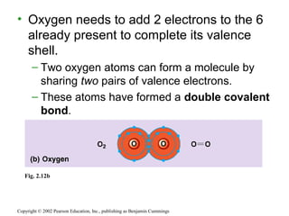 • Oxygen needs to add 2 electrons to the 6
already present to complete its valence
shell.
– Two oxygen atoms can form a molecule by
sharing two pairs of valence electrons.
– These atoms have formed a double covalent
bond.
Copyright © 2002 Pearson Education, Inc., publishing as Benjamin Cummings
Fig. 2.12b
 