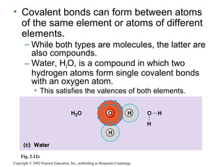 • Covalent bonds can form between atoms
of the same element or atoms of different
elements.
– While both types are molecules, the latter are
also compounds.
– Water, H2O, is a compound in which two
hydrogen atoms form single covalent bonds
with an oxygen atom.
• This satisfies the valences of both elements.
Copyright © 2002 Pearson Education, Inc., publishing as Benjamin Cummings
Fig. 2.12c
 