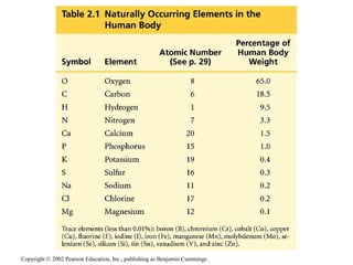 Copyright © 2002 Pearson Education, Inc., publishing as Benjamin Cummings
 