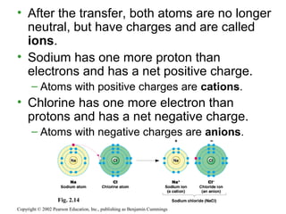 • After the transfer, both atoms are no longer
neutral, but have charges and are called
ions.
• Sodium has one more proton than
electrons and has a net positive charge.
– Atoms with positive charges are cations.
• Chlorine has one more electron than
protons and has a net negative charge.
– Atoms with negative charges are anions.
Copyright © 2002 Pearson Education, Inc., publishing as Benjamin Cummings
Fig. 2.14
 